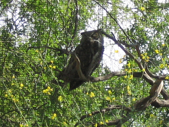 618x457 pixels (288K)